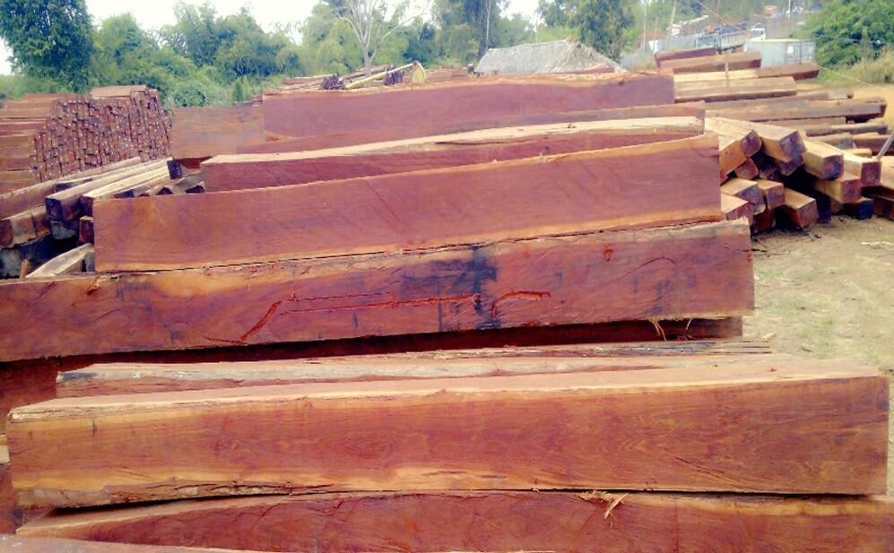 gỗ căm xe là gì