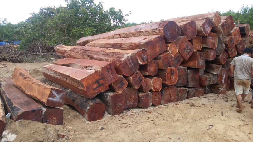 gỗ căm xe là gì