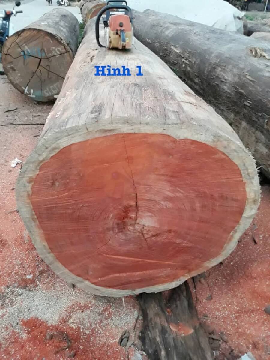 gỗ hương là gì
