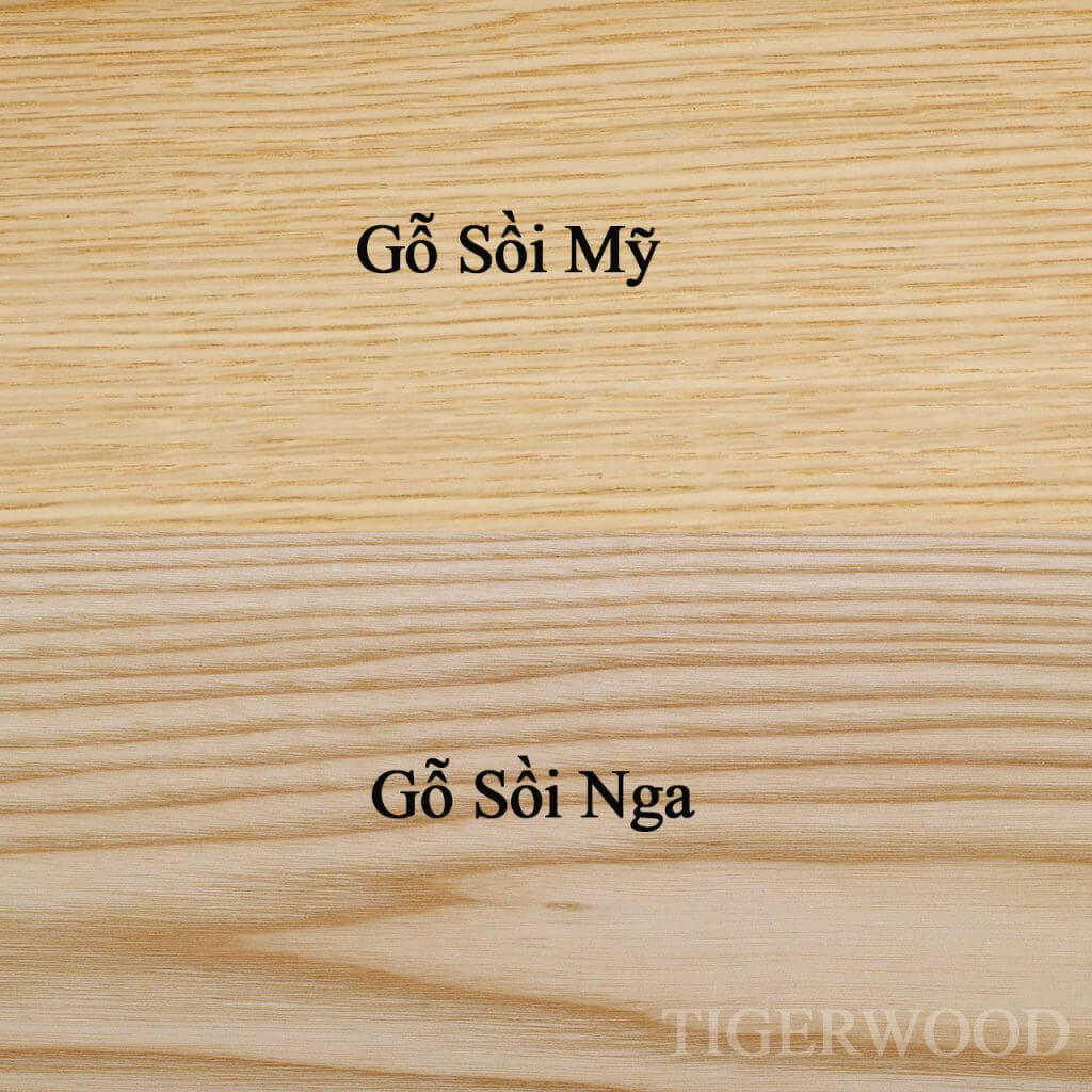 so sánh gỗ sồi Mỹ và gỗ sồi Nga