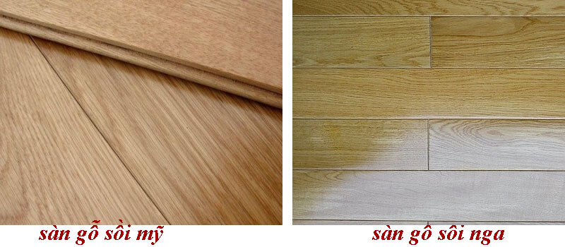 so sánh gỗ sồi Mỹ và gỗ sồi Nga