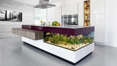 Cách khắc phục bể cá đối diện bếp theo phong thủy