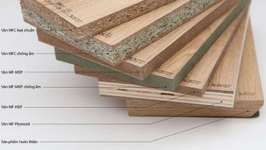 Gỗ An Cường có tốt không? Các loại gỗ An Cường phổ biến hiện nay