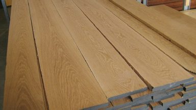 Gỗ sồi có tốt không? Các đặc điểm nổi bật của gỗ sồi