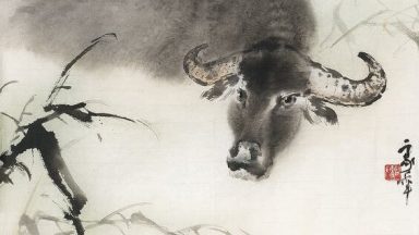 Tích tài tụ lộc với hướng bếp tuổi 1997 hợp phong thủy