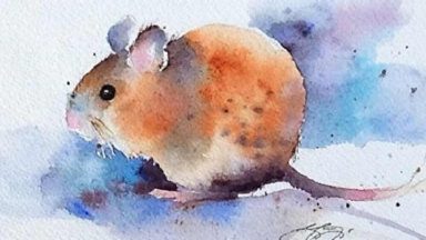 Xác định hướng bếp tuổi Bính Tý 1996 mang đến may mắn và tài lộc